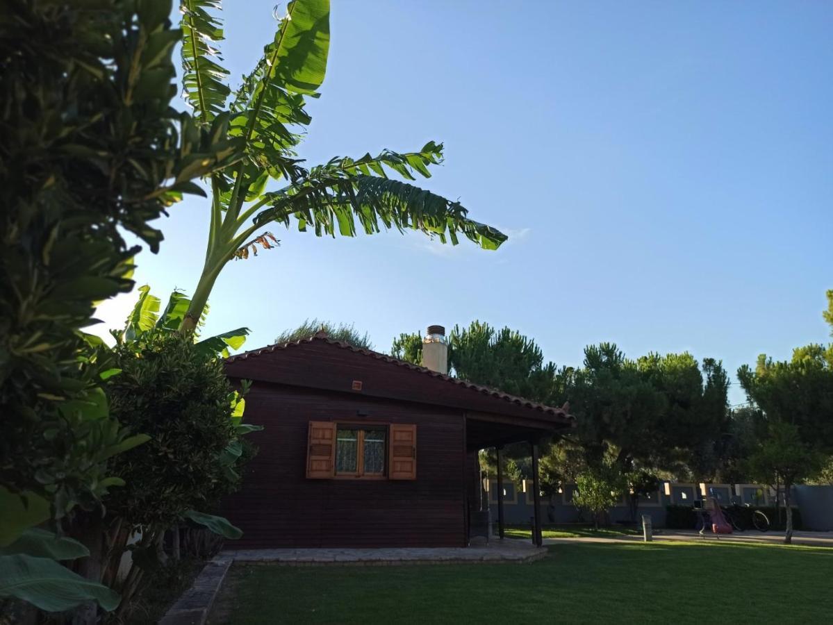 Aliki Guest House Éjo Kültér fotó